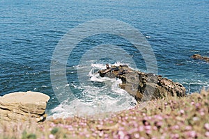 Coastal beach wildlife landscape scene of southern California. Sea lions lying on cliff rocks in La Jolla Cove, in San Diego