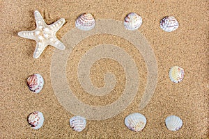 Coastal Beauty: Sea and Ocean Nature Frame with Starfish and Shells on Beach Sand