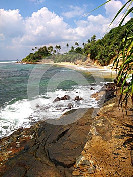 Coastal cliff sauvage beach   , Sri Lanka