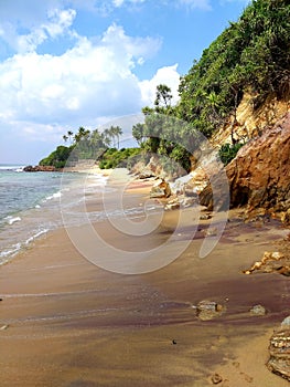 Coastal cliff sauvage beach   , Sri Lanka photo