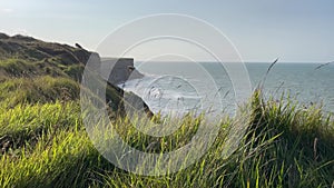 Coastal cliffs at Normandie Close view of gras in the wind from Cap Manvieux. View on ocean.