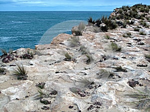 Coastal Cliffs