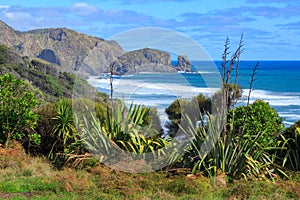 Coastal cliffs and vegetation, Bethells Beach, New Zealand