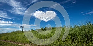 Coastal Cliffs and Waves