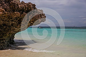 Coastal cliffs on Zanzibar island