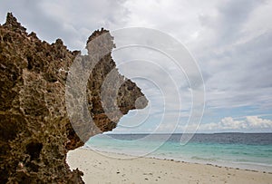 Coastal cliffs on Zanzibar island