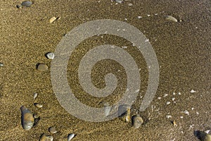 Coastal dry sea pebbles in the sand