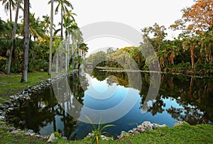 Coastal Dune Lake at the Bonnet House