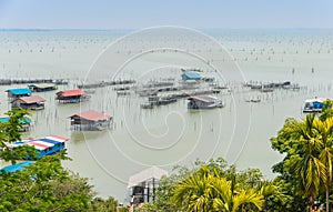 Coastal fish farming in Thailand