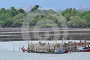 The coastal fisheries