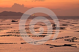 Coastal fisheries in sriracha, thailand