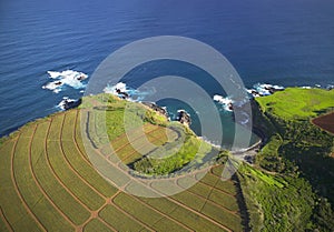 Coastal Hawaiian Agriculture