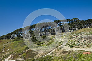 Coastal Hills near Land's End in San Francisco