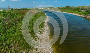 Coastal lake with muddy water and peculiar algal flora on the shore of the shallowed Tuzla estuary photo