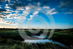 Coastal landscape