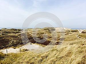 Coastal landscape in Denmark