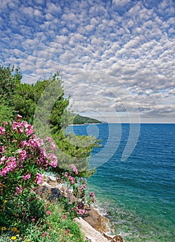 coastal Landscape in Istria ,adriatic Sea ,Croatia