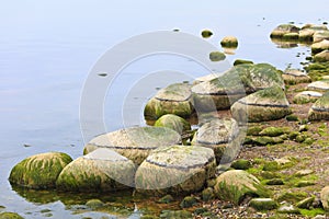 Coastal landscape in late summer.