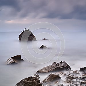 Coastal landscape with long exposure and stone on which sit cormorants