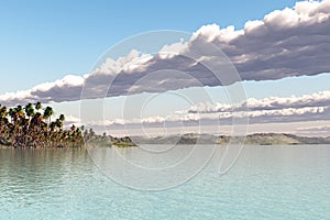 Coastal landscape with palms