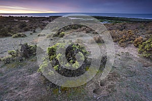 Coastal landscape in Peninsula Valdes at dusk,