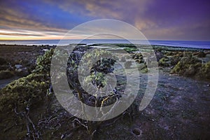 Coastal landscape in Peninsula Valdes at dusk, World Heritage Site,