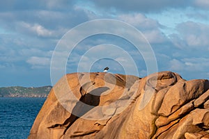 Coastal landscape on the Pink Granite Coast of Brittany