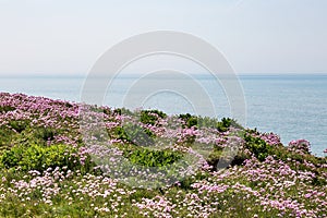 Coastal Landscape, Sussex