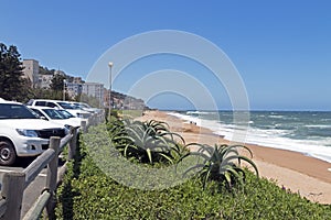 Coastal Landscape of Umdloti Beachfront in South Africa