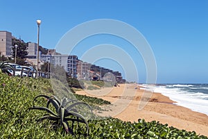 Coastal Landscape of Umdloti Beachfront in South Africa