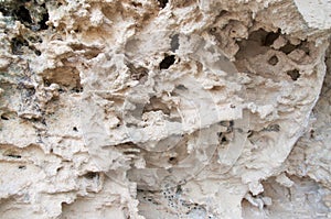 Coastal Limestone Texture