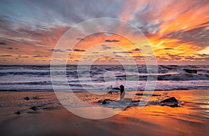 Coastal Morning Sky at Sunrise on the Coast in North Carolina