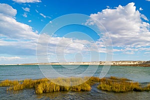 Coastal Patagonia