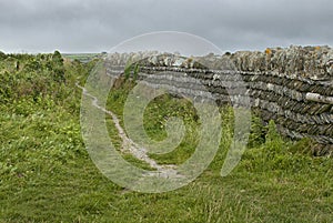 Coastal path alongside a Cornish stone fence
