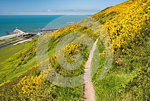 Coastal Path in Cardigan Bay, Wales