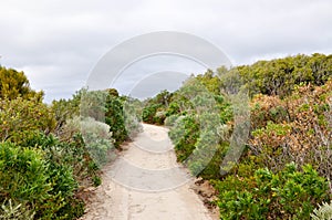 Coastal Path: Dunsborough, Western Australia