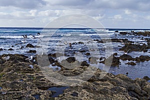 Coastal path in Lanzarote