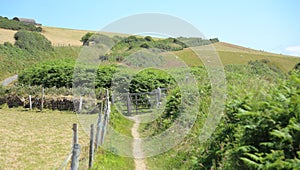 Coastal path leading through the Pembrokeshire countryside