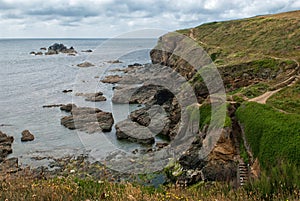 Coastal Path at Lizard Point, Lizard Cornwall UK.