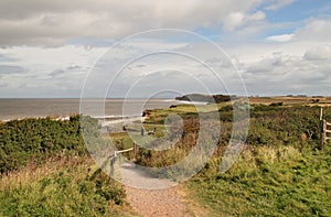 A Coastal Path in Somerset England