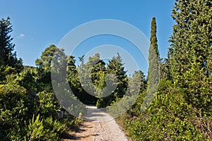 Coastal path surrounded by beautiful vegetation near Panormos at the island of Skopelos