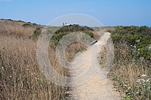 Coastal Prairie Trail at Bodega Head