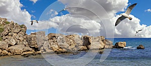 Coastal rock formation in Kyrenia, Northern Cyprus. The coast of the Mediterranean Sea.Seagulls flying over the sea.