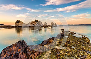 Coastal rock formations and low tide exposing Neptunes pearls