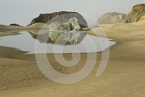 Coastal rock reflections at low tide on the Oregon coast.