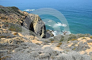 Coastal Sage Community in the Dana Point Headlands Conservation area..