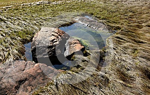 Coastal Salt Marsh with Tidal Pools on the Coast