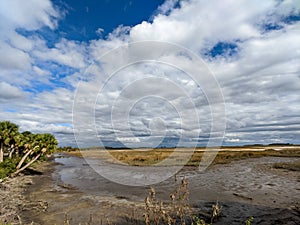 Coastal Salt Marsh Wildlife Refuge with Endless Sky and Clouds