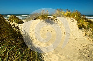 Coastal Sand Dune