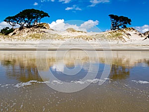 Coastal sand dune reflections on beach at low tide